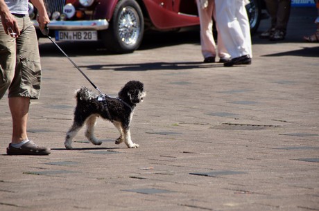 oldtimer-classics-dueren