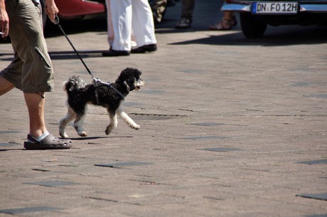 oldtimer-classics-dueren