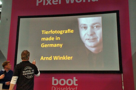 boot-2013