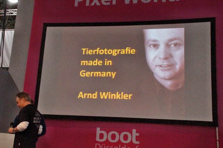 boot-2013