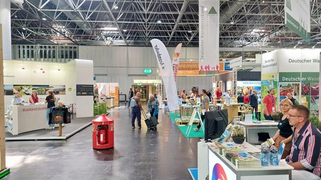 duesseldorf