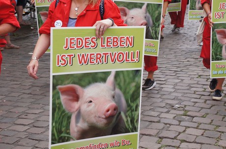 duesseldorf
