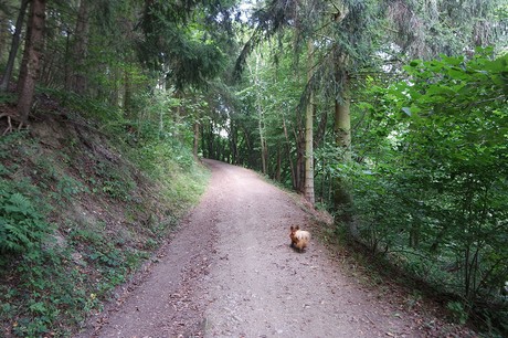 Einruhr