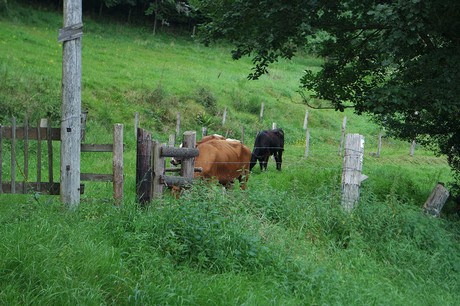 Einruhr