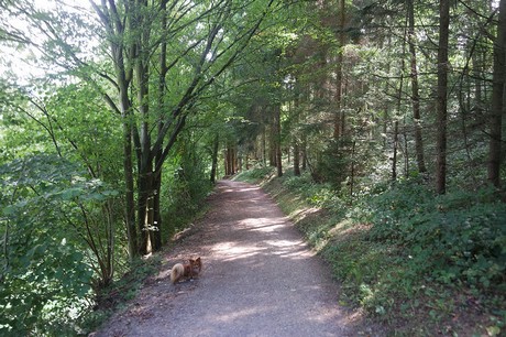Einruhr