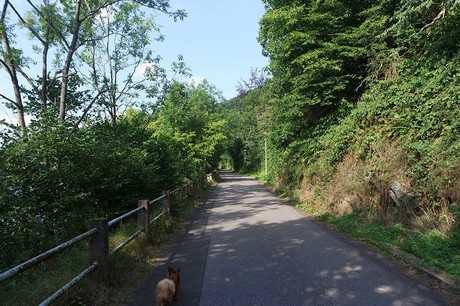 Einruhr