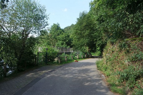 Einruhr