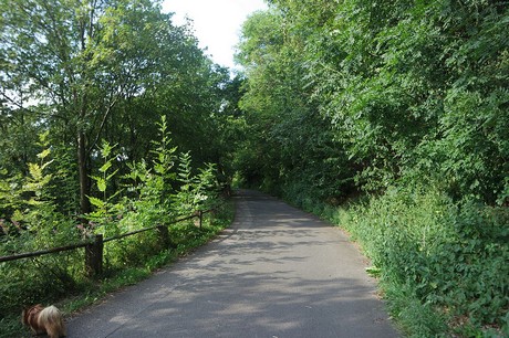 Einruhr