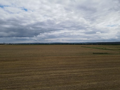 Elsig