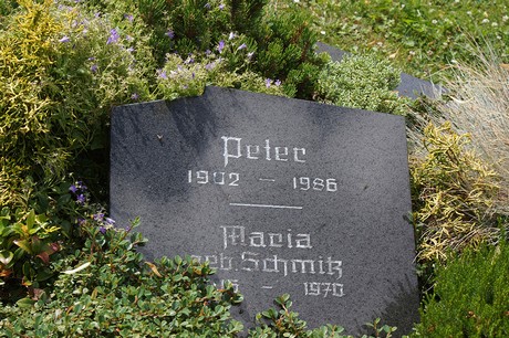 Elsig