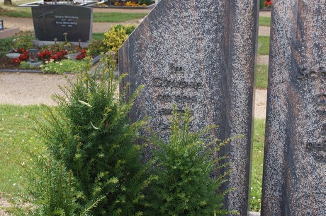 Elsig
