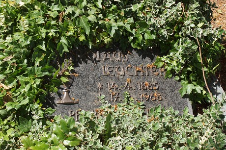 Elsig