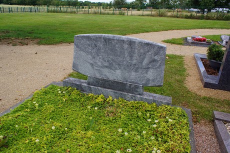 Elsig
