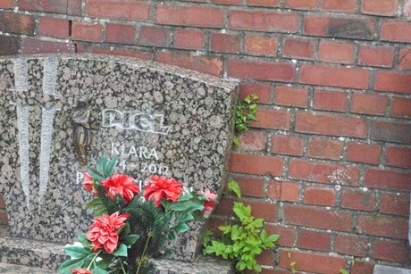Endenich