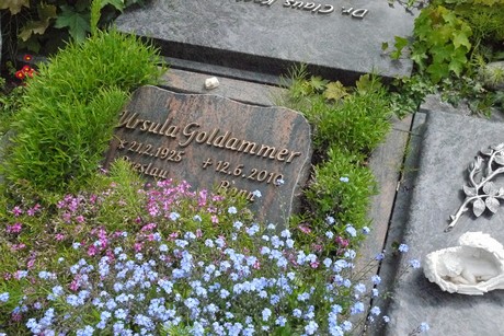 Endenich