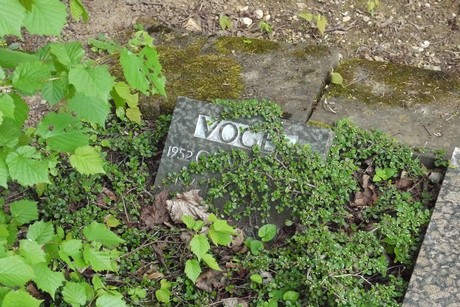 Endenich