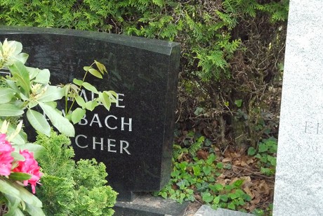 Endenich