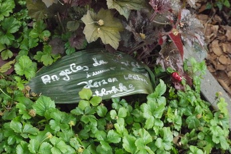 Endenich
