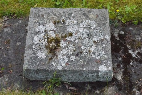 Endenich