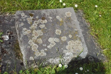 Endenich