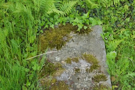 Endenich