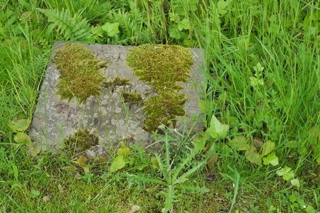 Endenich