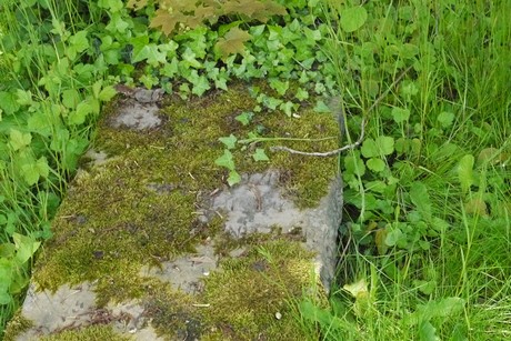 Endenich