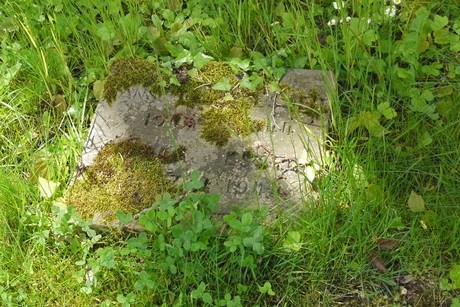 Endenich