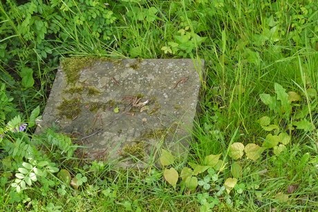 Endenich
