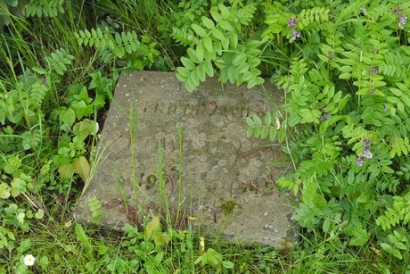 Endenich