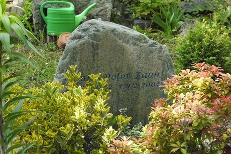 Endenich