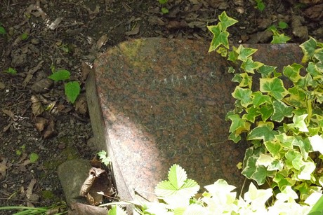 Endenich