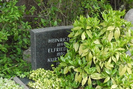 Endenich