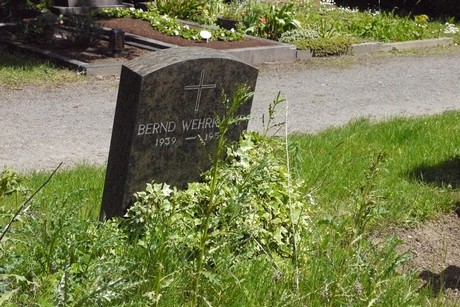 Endenich