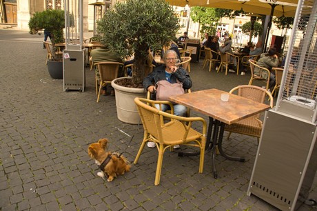 Erfurt