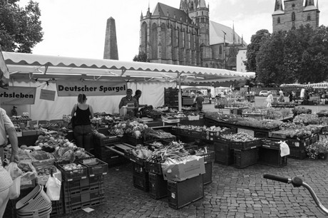 Erfurt