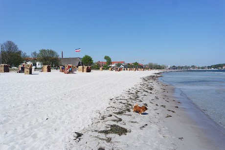 eckernfoerde