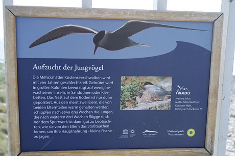 eidersperrwerk