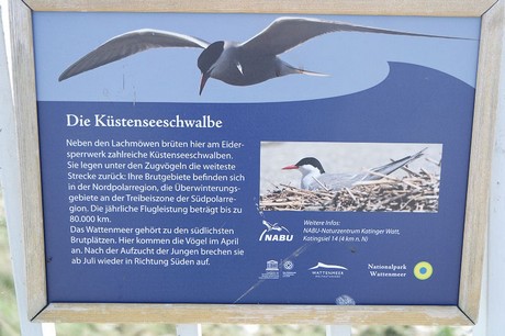 eidersperrwerk