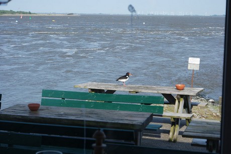 eidersperrwerk