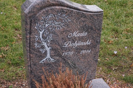 Elsdorf