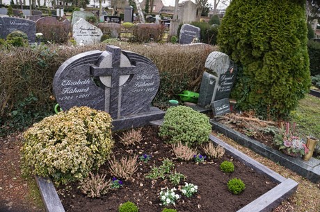 Elsdorf