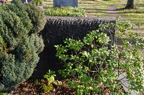 Elsdorf