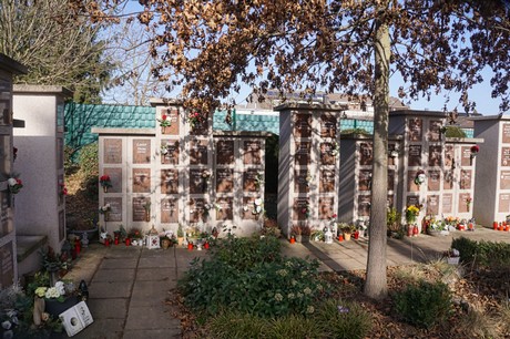 Elsdorf