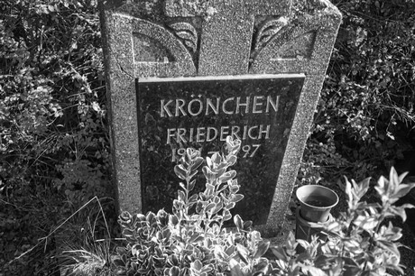 Elsdorf