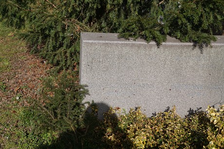 Elsdorf