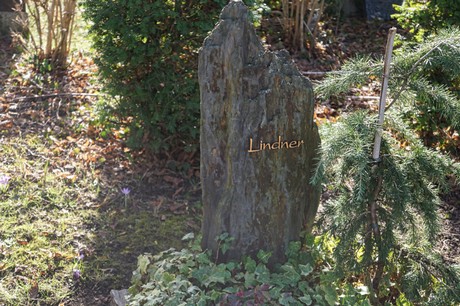 Elsdorf