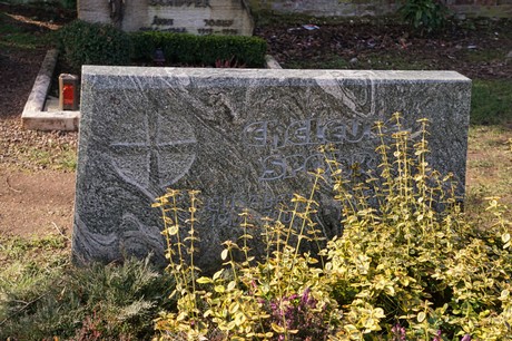 Elsdorf