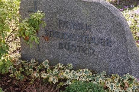 Elsdorf