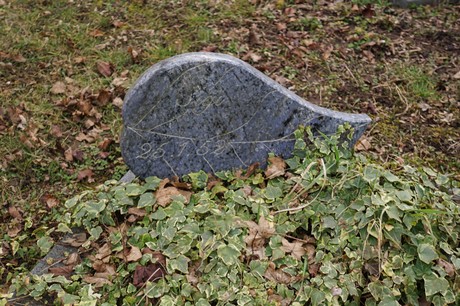 Elsdorf